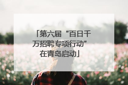 第六届“百日千万招聘专项行动”在青岛启动