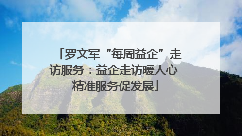 罗文军“每周益企”走访服务：益企走访暖人心 精准服务促发展