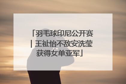 羽毛球印尼公开赛｜王祉怡不敌安洗莹 获得女单亚军