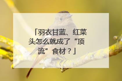 羽衣甘蓝、红菜头怎么就成了“顶流”食材？