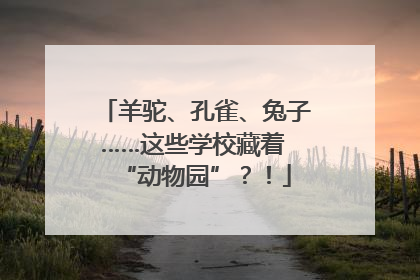 羊驼、孔雀、兔子……这些学校藏着 “动物园”？！
