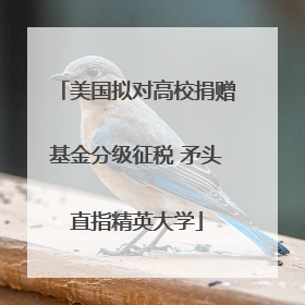 美国拟对高校捐赠基金分级征税 矛头直指精英大学