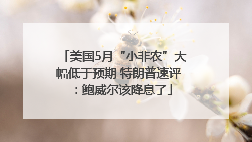 美国5月“小非农”大幅低于预期 特朗普速评：鲍威尔该降息了