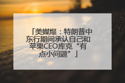 美媒爆：特朗普中东行期间承认自己和苹果CEO库克“有点小问题”