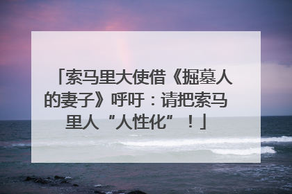 索马里大使借《掘墓人的妻子》呼吁：请把索马里人“人性化”！