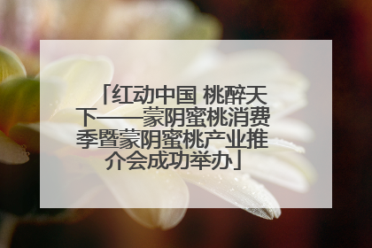 红动中国 桃醉天下——蒙阴蜜桃消费季暨蒙阴蜜桃产业推介会成功举办