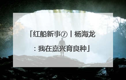 红船新事⑦丨杨海龙：我在嘉兴育良种