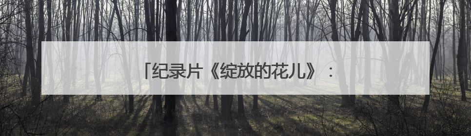 纪录片《绽放的花儿》：共绘融合发展时代画卷