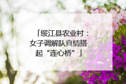 绥江县农业村：女子调解队真情搭起“连心桥”