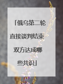 俄乌第二轮直接谈判结束 双方达成哪些共识