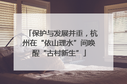 保护与发展并重，杭州在“依山理水”间唤醒“古村新生”