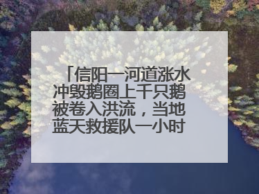 信阳一河道涨水冲毁鹅圈上千只鹅被卷入洪流，当地蓝天救援队一小时赶鹅上岸