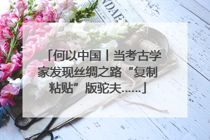 何以中国丨当考古学家发现丝绸之路“复制粘贴”版驼夫……