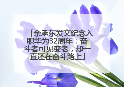 余承东发文纪念入职华为32周年：奋斗者可见变老，却一直还在奋斗路上