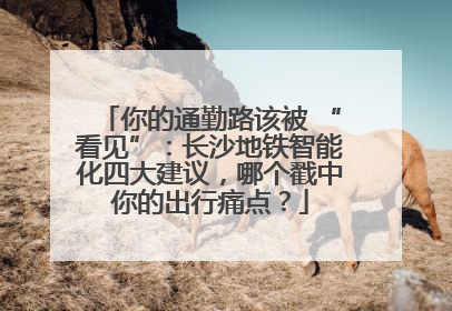 你的通勤路该被 “看见”：长沙地铁智能化四大建议，哪个戳中你的出行痛点？