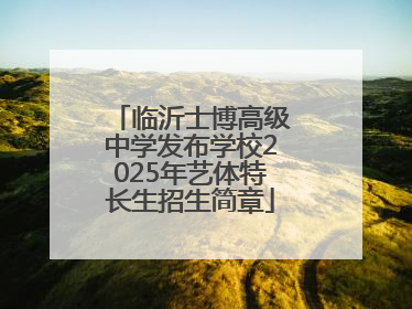 临沂士博高级中学发布学校2025年艺体特长生招生简章