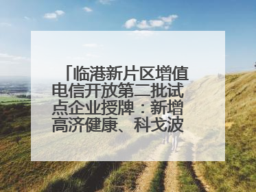 临港新片区增值电信开放第二批试点企业授牌：新增高济健康、科戈波特两家