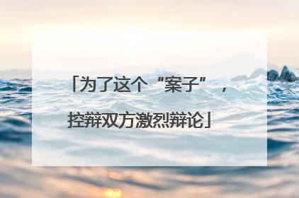 为了这个“案子”，控辩双方激烈辩论