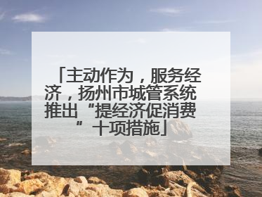 主动作为，服务经济，扬州市城管系统推出“提经济促消费”十项措施