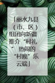 丽水九县（市、区）组团向新疆推介“村礼” 热闹的“村晚”乐云端