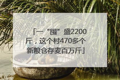 一“囤”盛2200斤，这个村470多个新粮仓存麦百万斤