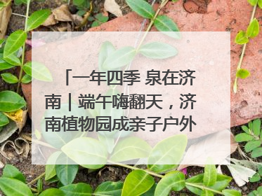 一年四季 泉在济南｜端午嗨翻天，济南植物园成亲子户外热门打卡地