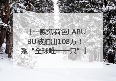 一款薄荷色LABUBU被拍出108万！系“全球唯一一只”