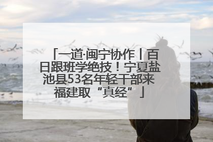 一道·闽宁协作丨百日跟班学绝技！宁夏盐池县53名年轻干部来福建取“真经”