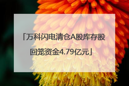 万科闪电清仓A股库存股 回笼资金4.79亿元