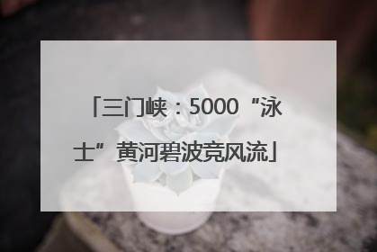 三门峡：5000“泳士”黄河碧波竞风流