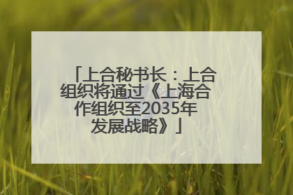 上合秘书长：上合组织将通过《上海合作组织至2035年发展战略》