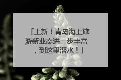 上新！青岛海上旅游新业态进一步丰富，到这里潜水！