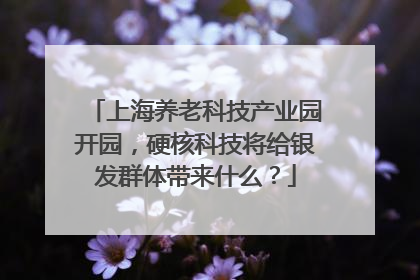 上海养老科技产业园开园，硬核科技将给银发群体带来什么？