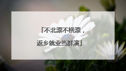 不北漂不横漂，返乡就业当群演