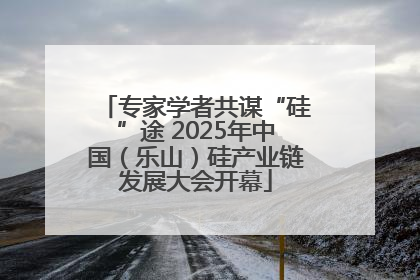 专家学者共谋“硅”途 2025年中国（乐山）硅产业链发展大会开幕