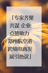 专家齐聚共谋 企业点赞助力 郑州航空港跨境电商发展引热议