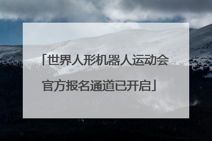 世界人形机器人运动会官方报名通道已开启