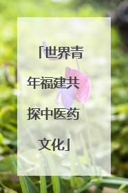 世界青年福建共探中医药文化