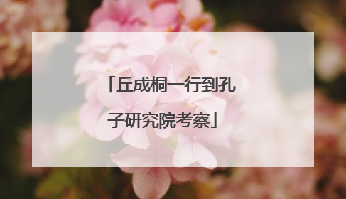 丘成桐一行到孔子研究院考察