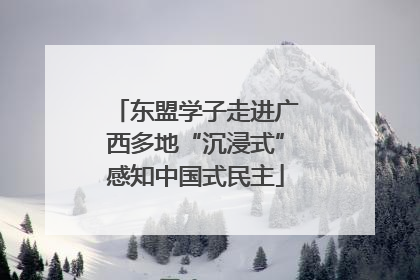东盟学子走进广西多地“沉浸式”感知中国式民主