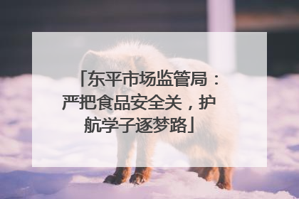 东平市场监管局：严把食品安全关，护航学子逐梦路