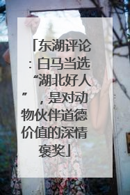 东湖评论：白马当选“湖北好人”，是对动物伙伴道德价值的深情褒奖