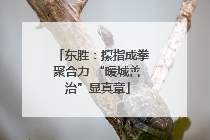 东胜：攥指成拳聚合力 “暖城善治”显真章