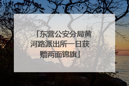 东营公安分局黄河路派出所一日获赠两面锦旗