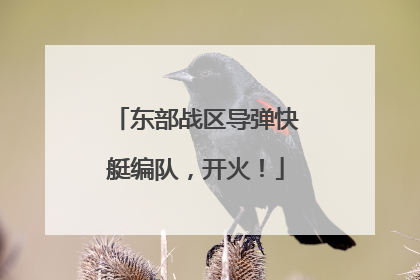 东部战区导弹快艇编队，开火！