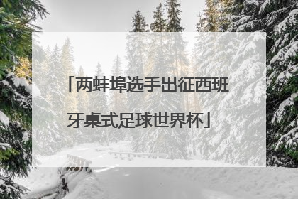 两蚌埠选手出征西班牙桌式足球世界杯