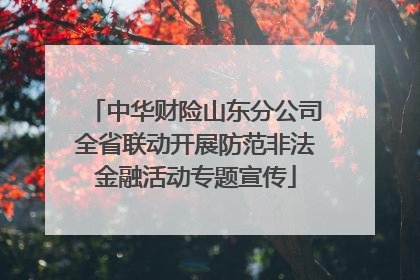 中华财险山东分公司全省联动开展防范非法金融活动专题宣传