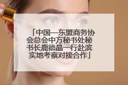 中国—东盟商务协会总会中方秘书处秘书长鹿德晶一行赴滨实地考察对接合作