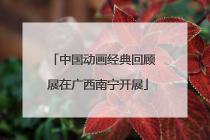 中国动画经典回顾展在广西南宁开展