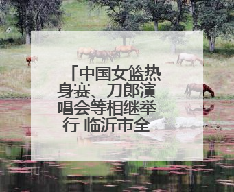 中国女篮热身赛、刀郎演唱会等相继举行 临沂市全力做好住宿餐饮保障工作